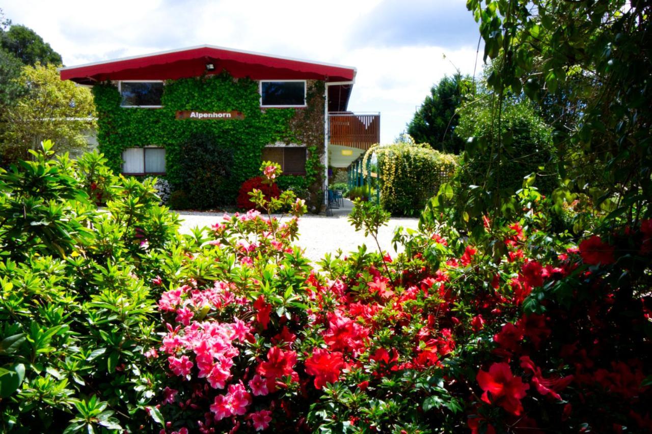 Alpenhorn Holiday Units Mount Beauty Exterior foto