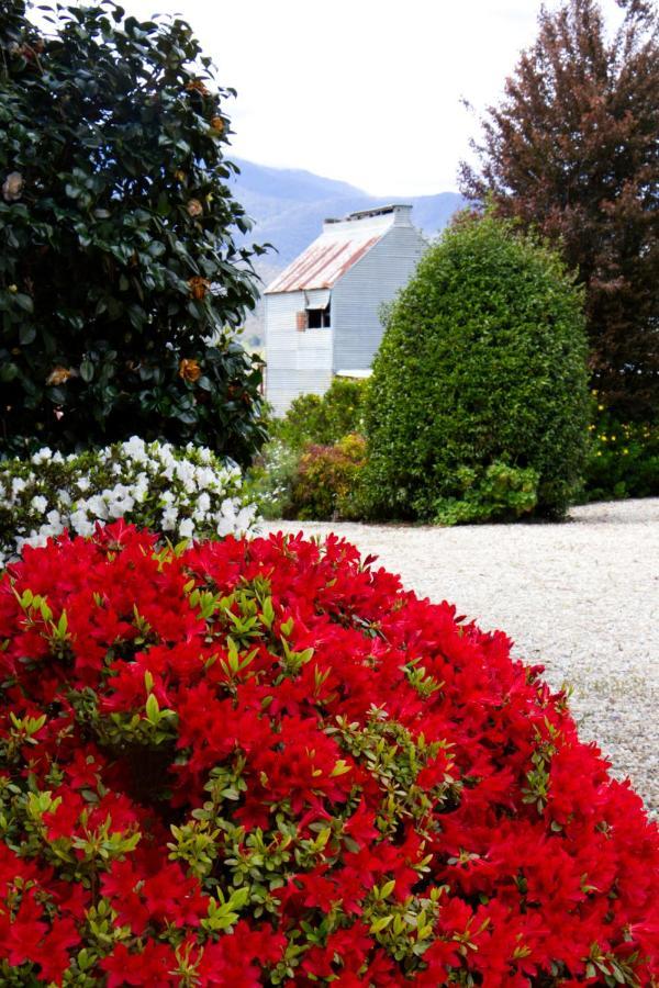 Alpenhorn Holiday Units Mount Beauty Exterior foto