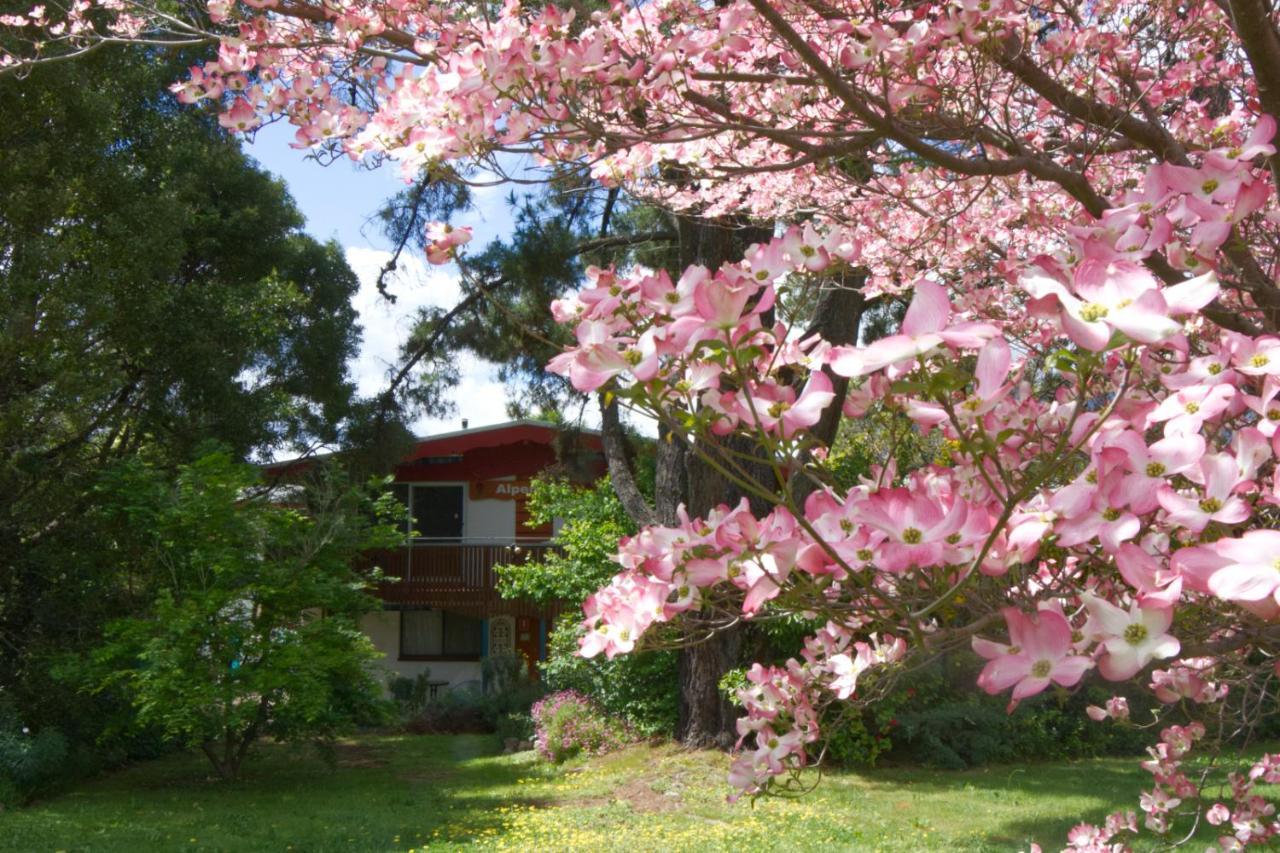 Alpenhorn Holiday Units Mount Beauty Exterior foto